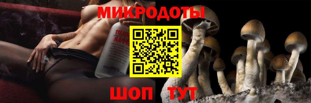 Псилоцибиновые грибы Psilocybine cubensis  Вход с VPN  Унеча 